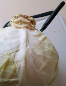 An upside-down cabbage head with a small knife inserted at a 45 degree angle about half an inch away from the core