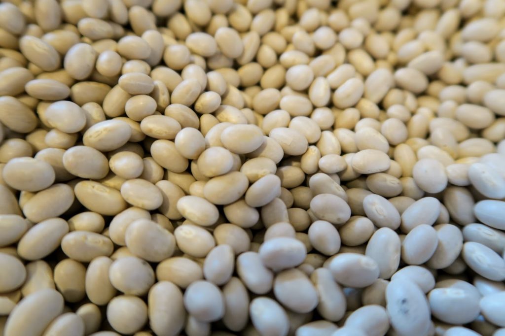 A pile of white navy beans