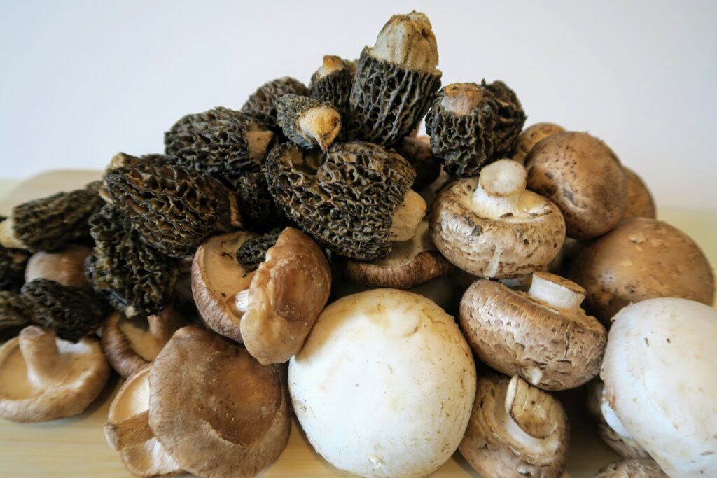 A mountain of shiitake, morel and button mushrooms